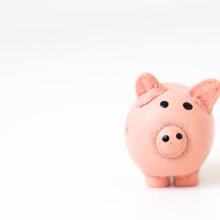 Image of a pink piggy bank